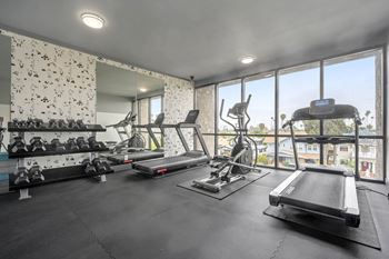 A well-equipped gym with a treadmill, weights, and exercise machines.